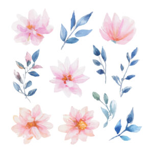 Aquarelle fleurs