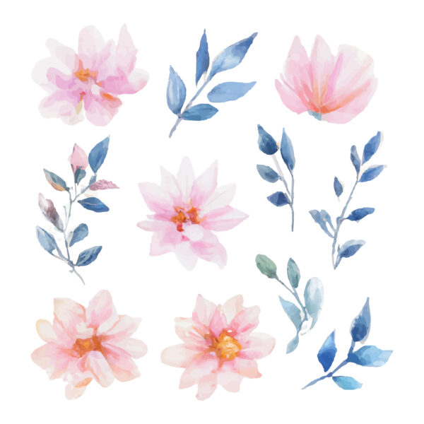 Aquarelle fleurs